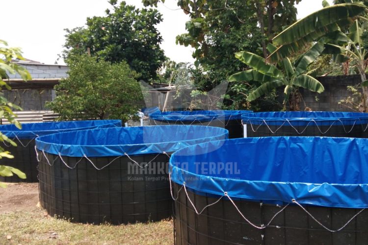 Jual Kolam Terpal Bulat