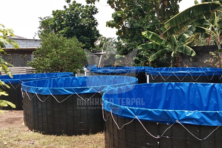 jual kolam terpal bulat