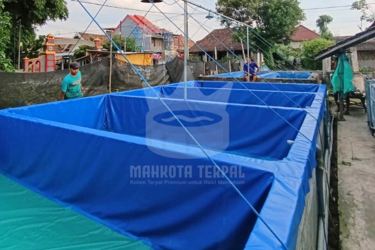 jual kolam terpal kotak