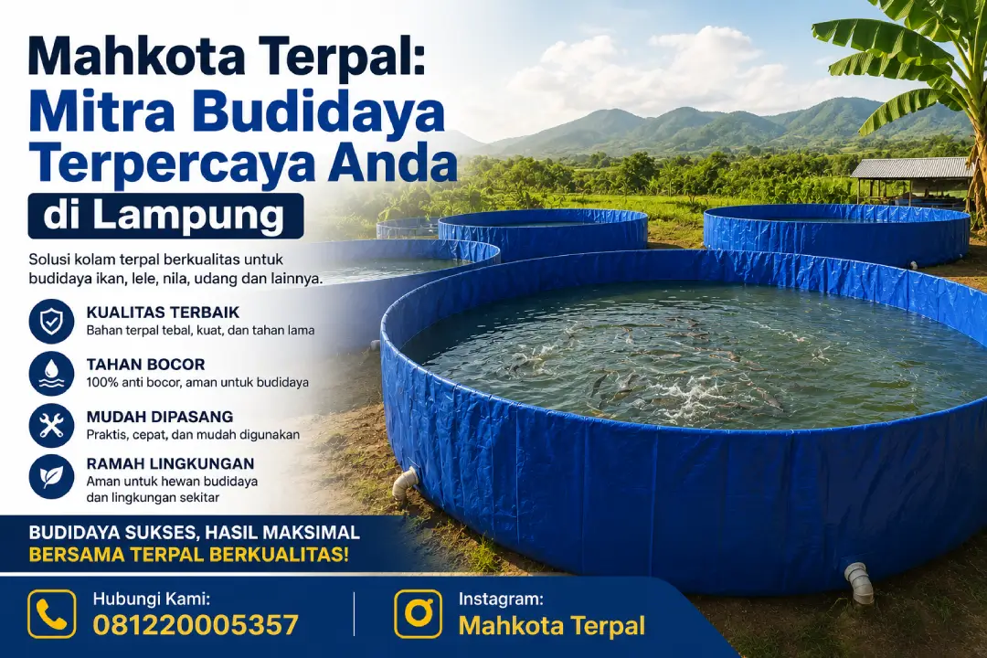 Jual Kolam Terpal Full Set di Lampung Murah Berkualitas